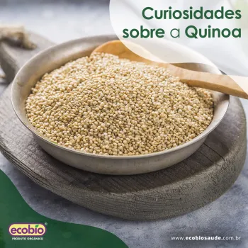 Curiosidades sobre a Quinoa